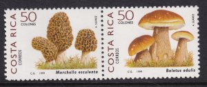Costa Rica 522 Mushrooms VF