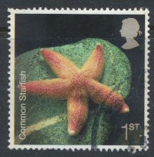 Great Britain SG 2700 SC# 2429  Used Common Starfish  see details 