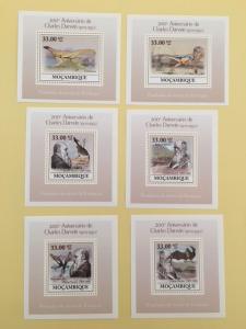 Mozambique 2009 200th Anniv Charles Darwin Famous People Animal 6 S/S Stamps MNH