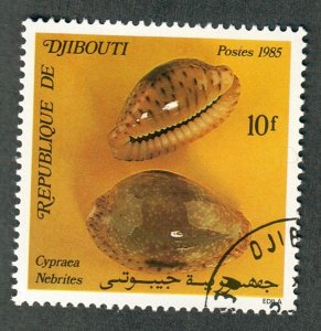 Djibouti #603 Sea Shells used single