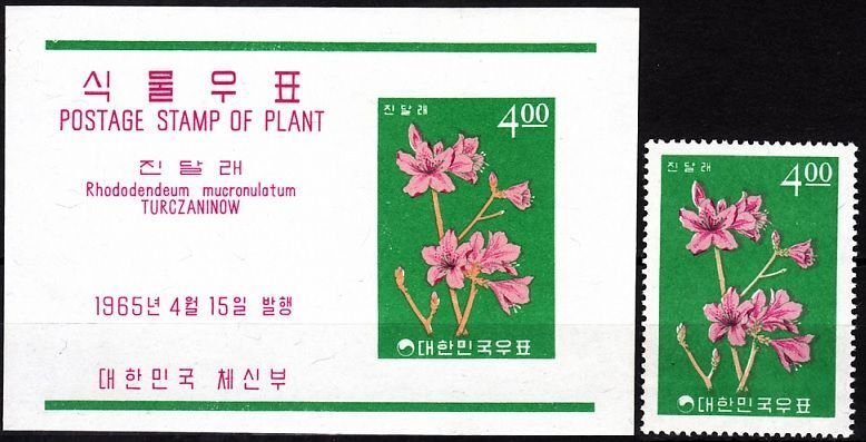 KOREA SOUTH 1965 FLORA Plants (IV): Flower Rhododendron, MNH