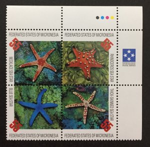 Micronesia 1996 #240 Block of 4, Sea Stars, MNH.