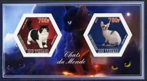 Chad 2014 Cats #1 imperf sheetlet containing two hexagona...