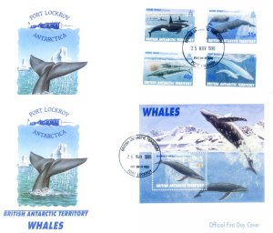 Fauna. 1996 Whales. 2 FDC.