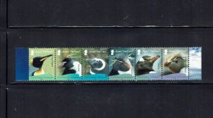 Falkland Islands: 2008, Breeding Penguins, (1st series)  MNH set