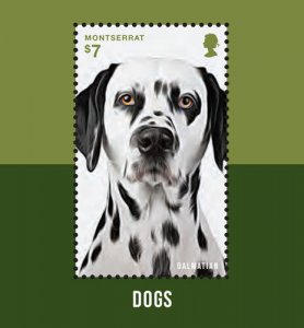 Montserrat  - 2014 DOGS - DALMATIAN STAMP SOUVENIR SHEET MNH