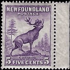NEWFOUNDLAND   #191 MNH (1)