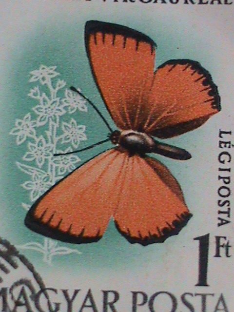 HUNGARY STAMP- COLORFUL BEAUTIFUL LOVELY BUTTERFLY JUMBO LARGE CTO STAMPS-VF