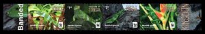 2016 Tonga 2102-2105strip WWF / Reptiles 10,00 €
