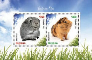 Guyana - 2014 - Guinea Pig -  Souvenir Sheet - MNH