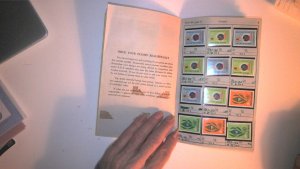 UNITED NATION COLLECTION IN APPROVAL BOOK MOSTLY ALL MINT