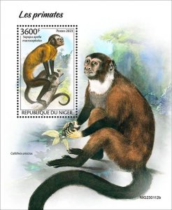 NIGER - 2023 - Primates - Perf Souv Sheet - Mint Never Hinged