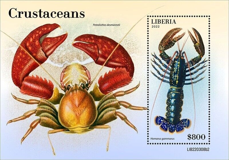 Liberia - 2022 Crustaceans, Lobster - Stamp Souvenir Sheet - LIB220308b2
