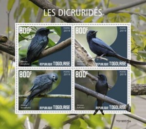 Togo - 2019 Drongos on Stamps - 4 Stamp Sheet - TG190572a