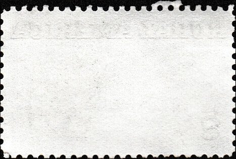 # 1504 USED ANGUS AND LONGHORN CATTLE