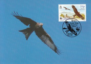 Gibraltar 1996 Maxicard Sc #716a 34p Red kite in flight WWF