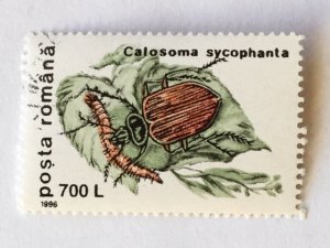 Romania – 1996 – Single “Insect” Stamp – SC# 4086 – CTO