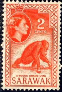 Young Orangutan, Sarawak stamp SC#198 used