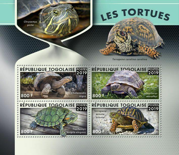 Z08 TG190127a TOGO 2019 Turtles MNH ** Postfrisch