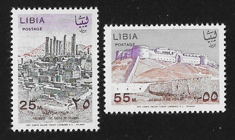 312-313,MNH