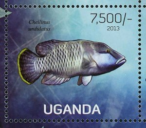 Fish Stamp Thunnus Maccoyii Schilbe Mystus Oxynotus Centrina S/S MNH #3020-3023