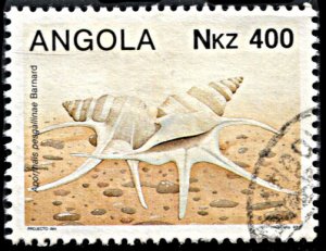 Angola 865, used, Seashell