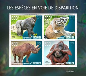 Togo 2019 MNH Wild Animals Stamps Endangered Species Gorillas Rhinos 4v M/S