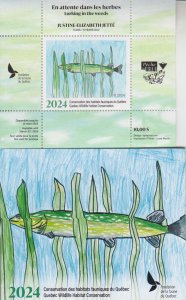 Canada  QUEBEC Wildlife Conservation 2024   DQ137 Junior