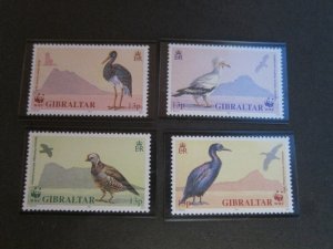 Gibraltar 1991 Sc 591-4 Bird set MNH