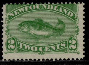 CANADA - Newfoundland QV SG46, 2c yellow-green, M MINT. Cat £60.