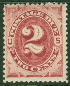 EDW1949SELL : USA 1891 Scott #J23 Fine, Mint Never Hinged. Catalog $90.00.