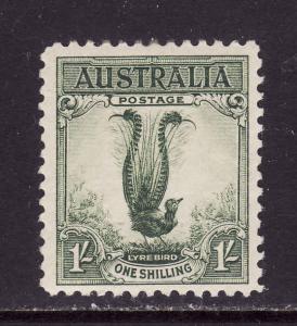 Australia-Sc.#141-unused hinged 1sh Male Lyrebird-1932-