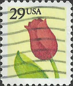 # 2524 USED RED ROSE    