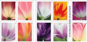Spring Tulips Forever Stamps Sheet of 20 (50% shipping)