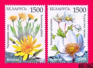 BELARUS 2009 Nature Flora Plants Flowers 2v Sc698-699 Mi769-770 MNH