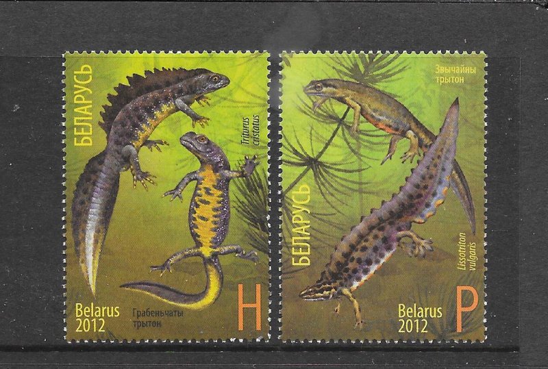 BELARUS #829-30 NEWTS MNH