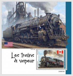CENTRAL AFRICAN 2025 MNH Steam Trains #213b1