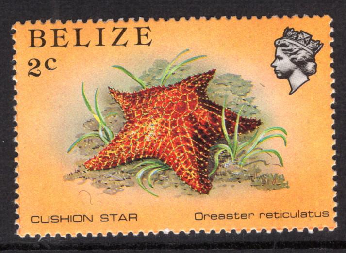 Belize 700 Star Fish MNH VF