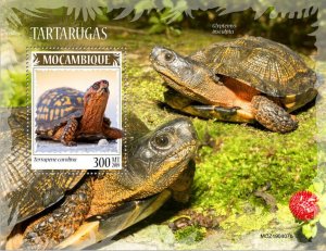 Mozambique 2019 MNH Turtles Stamps Reptiles Common Box Turtle 1v S/S