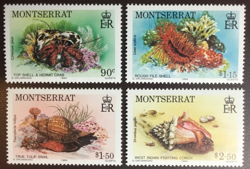 Montserrat 1984 Shells Marine Life MNH