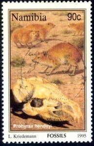 Fossil, Prohyrax Hendeyi, Namibia stamp SC#781 used