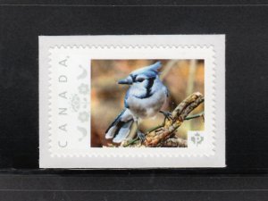 BLUE JAY = Picture Postage Personalized stamp MNH Canada 2013 [p4f12/1]