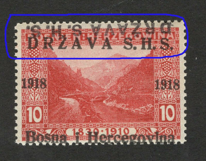 BOSNIA - SHS -MNH STAMP, 10 h - ERROR -TETE BECHE OVERPEINT DRŽAVA S.H.S.-1918