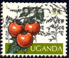 Tomato, Udandan Crop, Uganda stamp SC#137 used