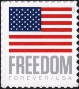 U.S.#5787 Flag & Freedom 63c Single, MNH. (BCA)