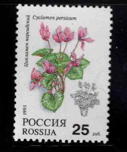 Russia Scott 6135 Flowering house plant stamp