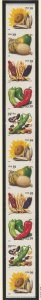 4007a,4003-07 Crops of the Americas PNC11 S1111 MNH