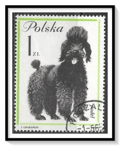Poland #1120 Dogs CTOH