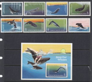 TURKS & CAICOS ISL. Sc# 564 - 572 MNH FVF Set8 + SS Whales Marine Life