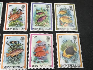 MONTSERRAT # O45-O55-MINT/NEVER HINGED-COMPLETE SET----OFFICIALS----1981